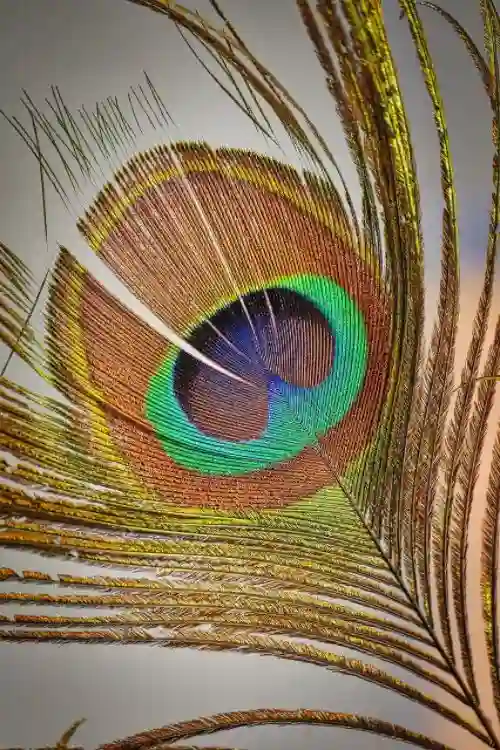 OFFSET PAPER/BOND PAPER/WOODFREE PAPER HIGH BULK LS paper product