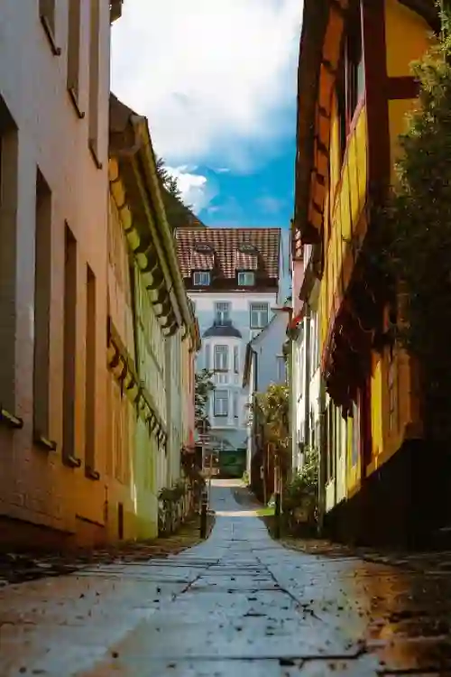 C1S/FBB/IVORY CARDBOARD  JL - Base Paper for Packaging