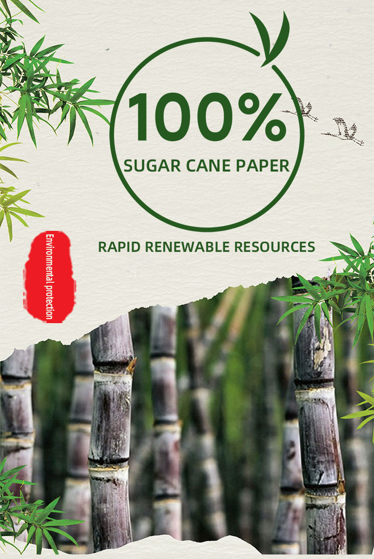 Sugarcane paper - Base Paper for Packaging
